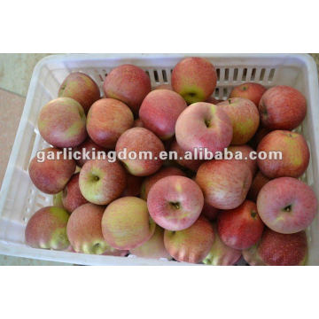 unbagged Fresh Qinguan Apple